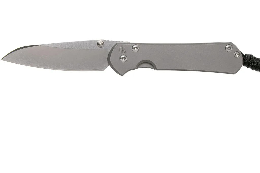 Chris Reeve Sebenza 31 Small Plain Glass Blasted Insingo S31-1685 couteau de poche