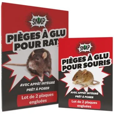 Glu anti rats Rakao lot de 2 plaques - SNAP