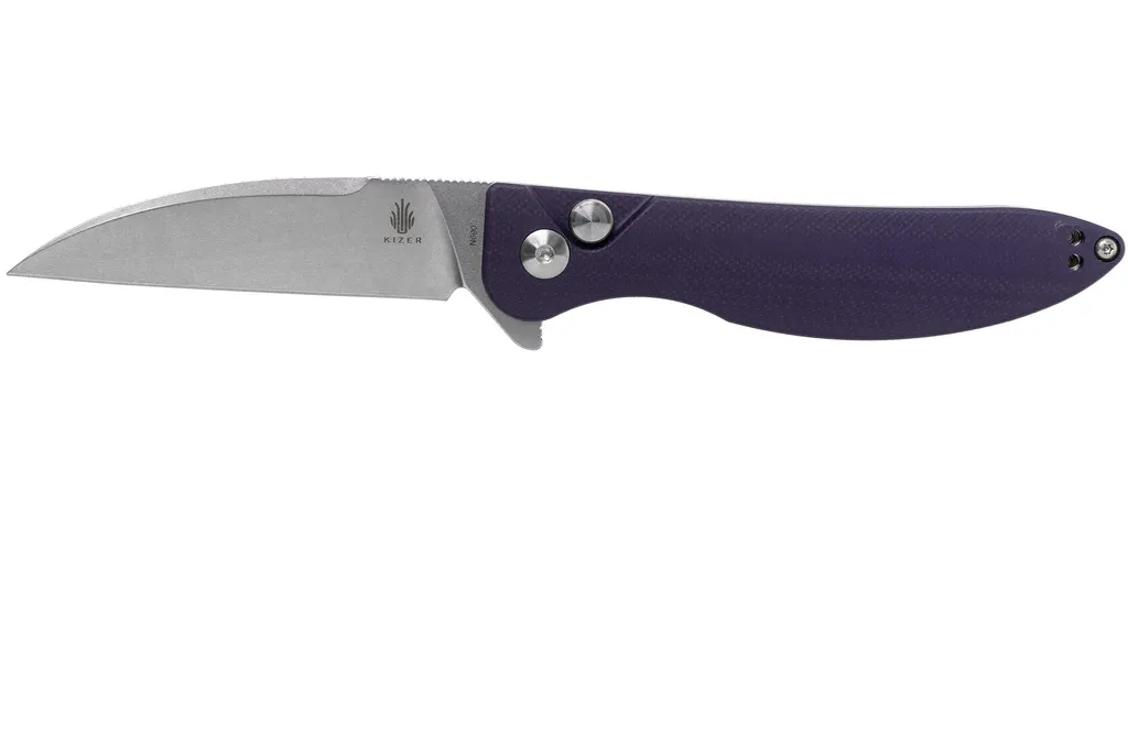 Kizer Vanguard Swaggs Swayback V3566N1 Purple G10 couteau de poche