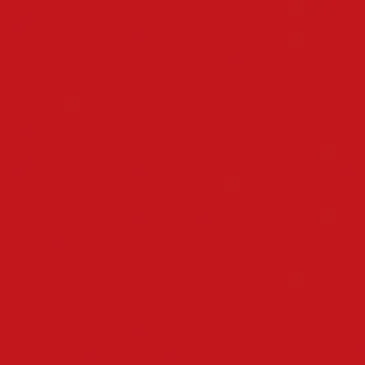 Lot 12 serviettes 40 x 40 cm Rouge - Dunisoft Bio - DUNI