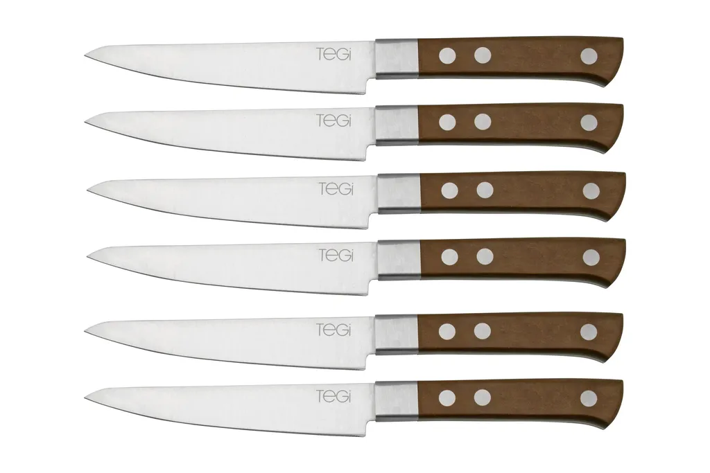 Maserin TEGI 2500TG01-M set de 6 couteaux à steak avec sac enroulable, marron