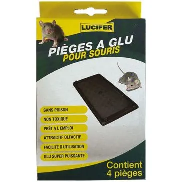 Piège à glu pour souris x 4 - LUCIFER