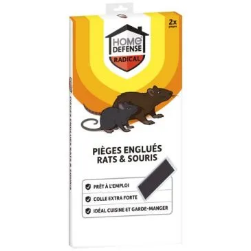 Piège rats et souris englué x 2 - HOME DEFENSE