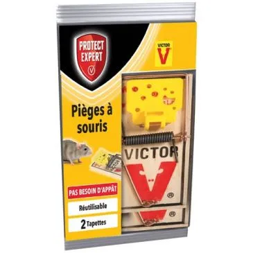Pièges à souris 2 tapettes bois - PROTECT EXPERT