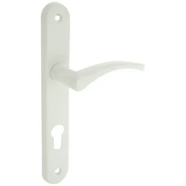 Poignée de porte - Absolu - sur plaque - entraxe 195 mm - clé cylindre - fi - ALPERTEC