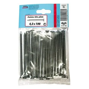 Pointe TP acier 4.2x100  200G - VYNEX