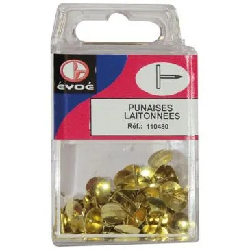 Punaises laitonnées - EVOE