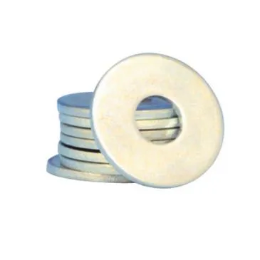 Rondelle plate extra lg.d.6mm - VYNEX