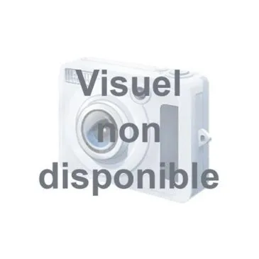 Savon marseille le serail blc 100g - LE SERAIL