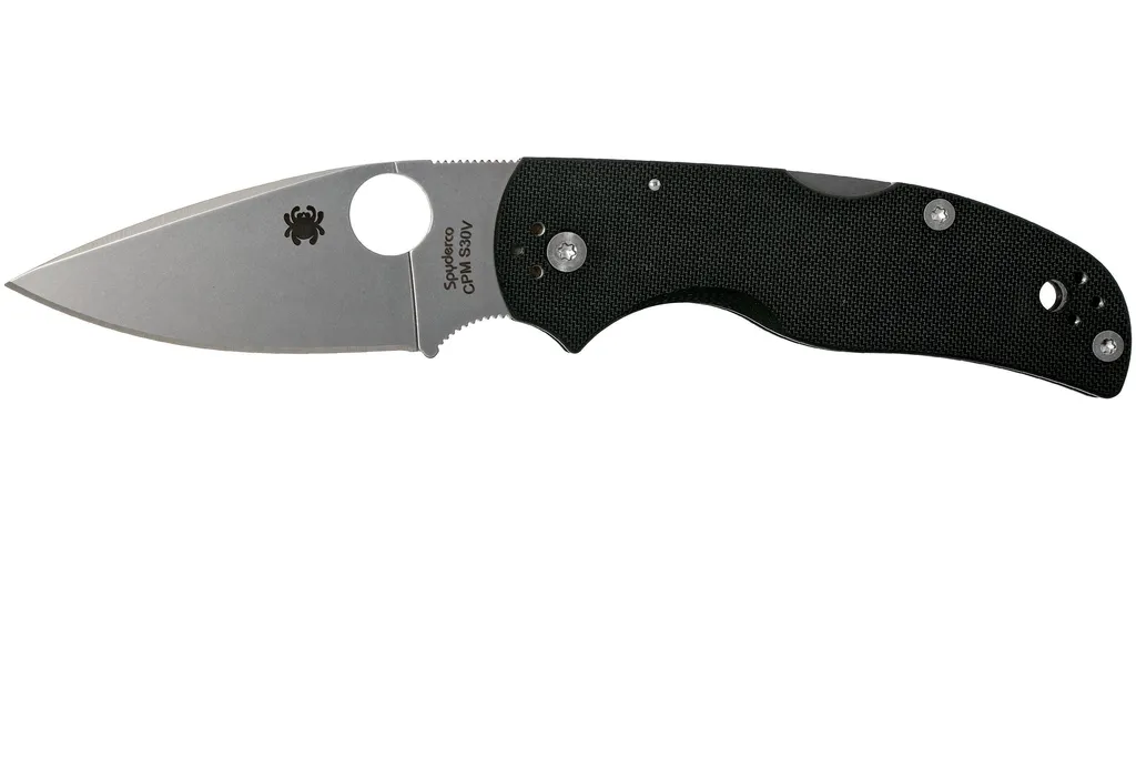 Spyderco Native 5 C41GP5 couteau de poche