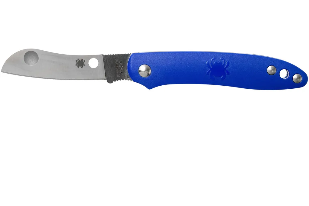 Spyderco Roadie C189PBL couteau de poche bleu